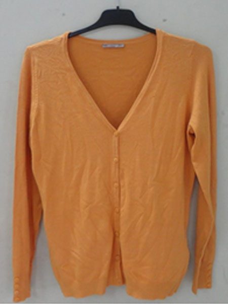 Women Sweater(WSW-013)